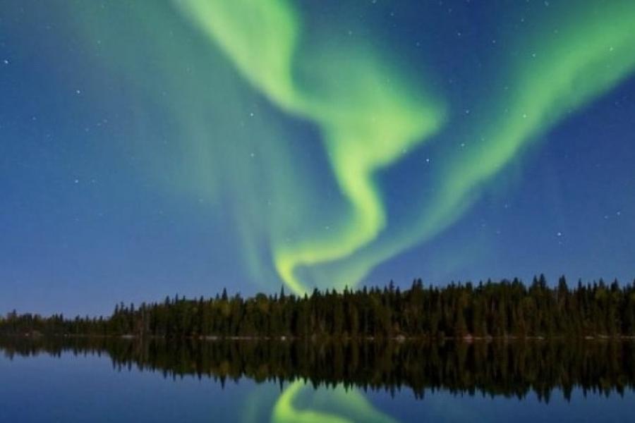 Green northern lights shining in a dark blue sky over a treeline.